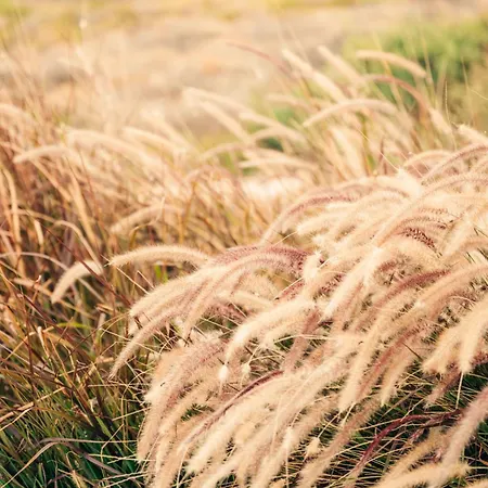 Makrikythera Luxury - Private Pool Or Hot Tub Apartamento